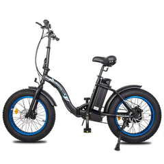 Dolphin Electric Bike in Black by Ecotric