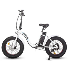 Dolphin Electric Bike in White by Ecotric