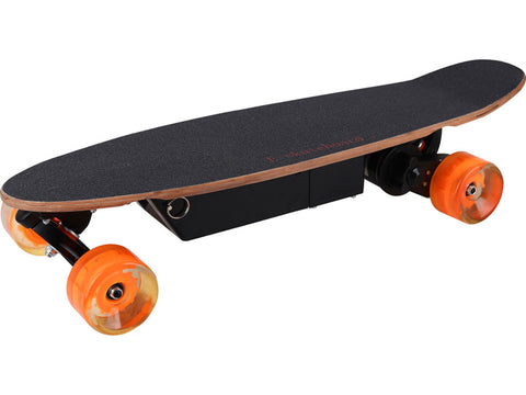 100w Street Electric Skateboard