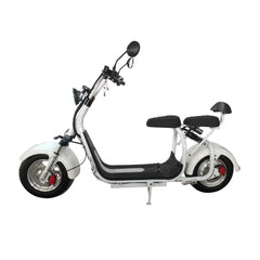 Fat Road - Electric Fat Tire Scooter Moped